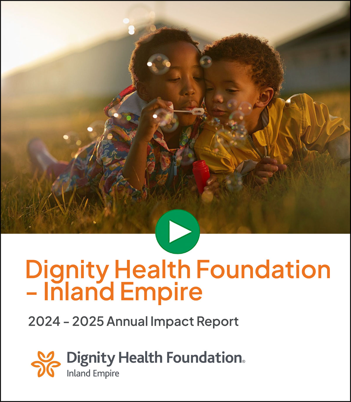 Annual Report 2024-2025